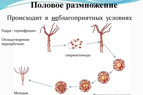 Кракен маркет